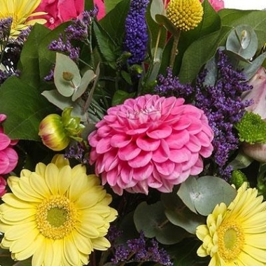 Florist Choice