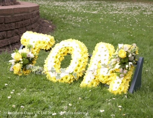 Roses Letter Tribute